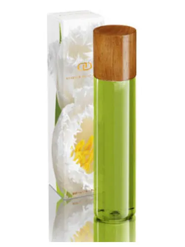 Perfume Leila de DayNa Decker