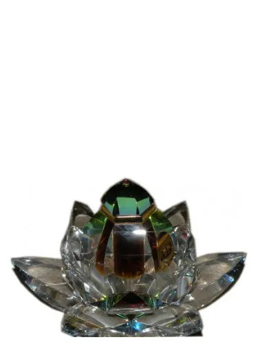Perfume Tohfa de Arabian Oud