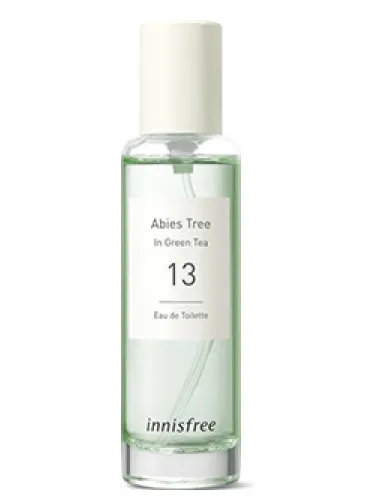 Imagen de 13 Abies Tree in Green Tea
