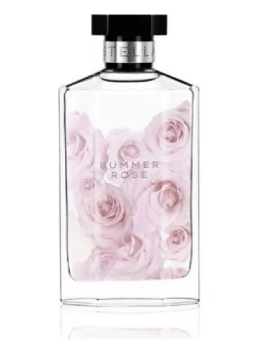 Imagen de Stella Summer Rose