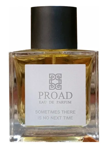 Perfume Sometimes There Is No Next Time de Proad
