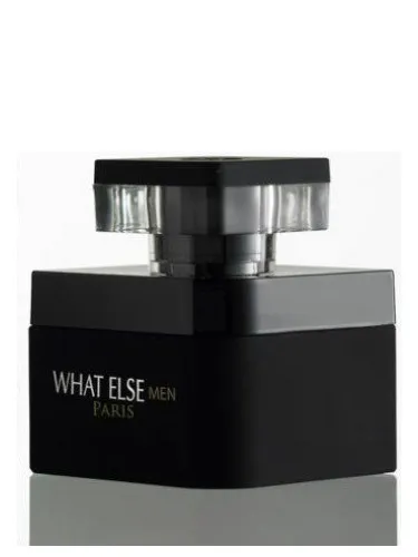 Imagen de What Else Men