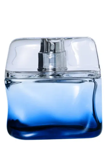Perfume Bleu Intense de Nicole Farhi
