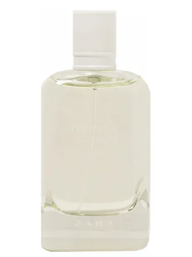 Perfume Delicious Blossom 2017 de zara