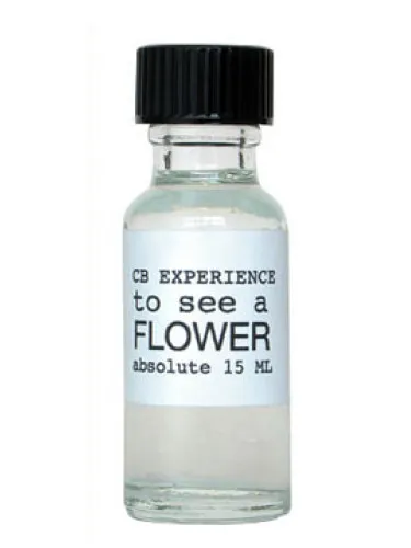 Imagen de To See A Flower