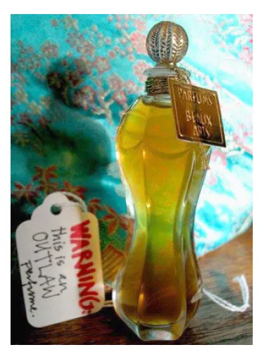 Perfume Mata Hari de DSH Perfumes