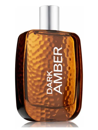 Imagen de Dark Amber for Men