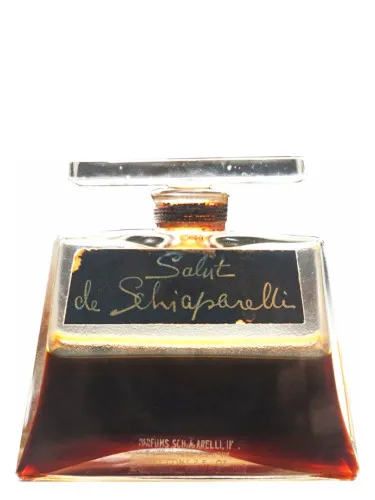 Imagen de Salut de Schiaparelli