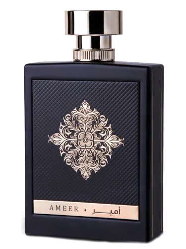 Imagen de Ameer