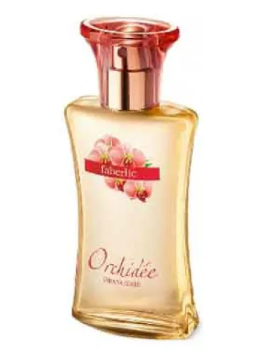 Imagen de Orangerie Orchidee