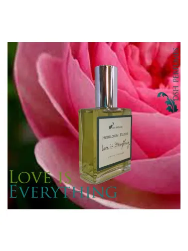 Imagen de Love is Everything