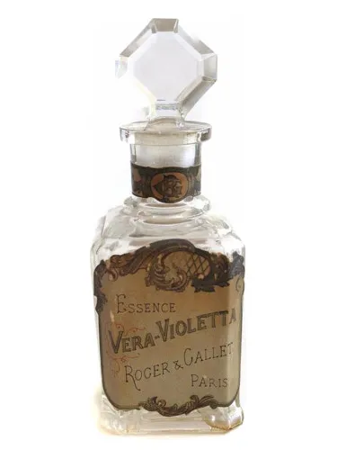 Imagen de Vera Violetta