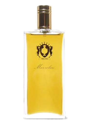 Imagen de Vetiver