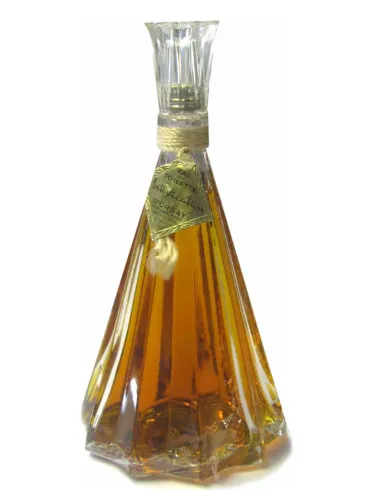 Imagen de Intoxication (Vintage)