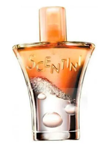 Imagen de Scentini Citrus Chill