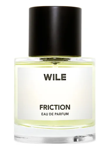 Imagen de Friction