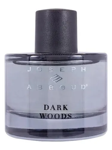 Imagen de Dark Woods