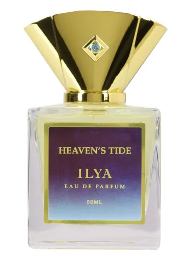 Imagen de Heaven’s Tide