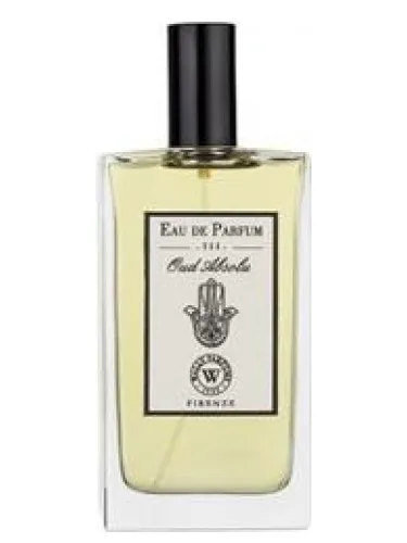Imagen de Oud Absolu