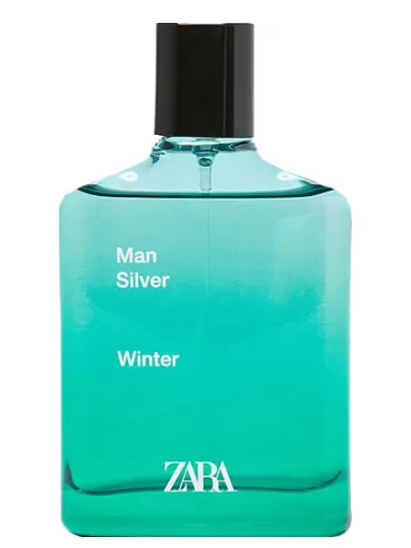 Imagen de Man Silver Winter