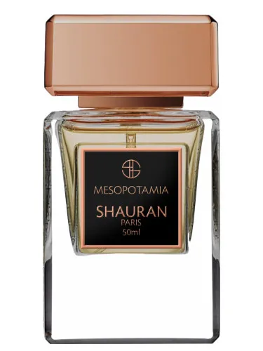Imagen de Mesopotamia