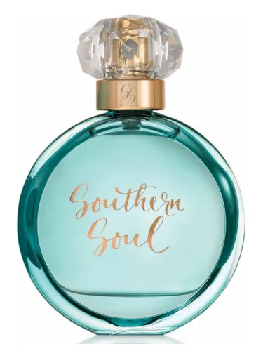 Imagen de Southern Soul