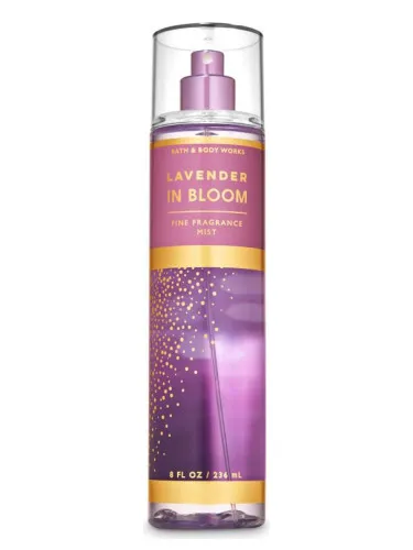 Imagen de Lavender in Bloom