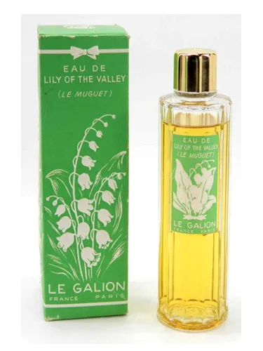 Imagen de Lily of the Valley