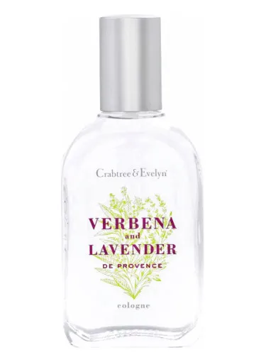 Imagen de Verbena and Lavender de Provence