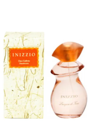 Imagen de Inizzio