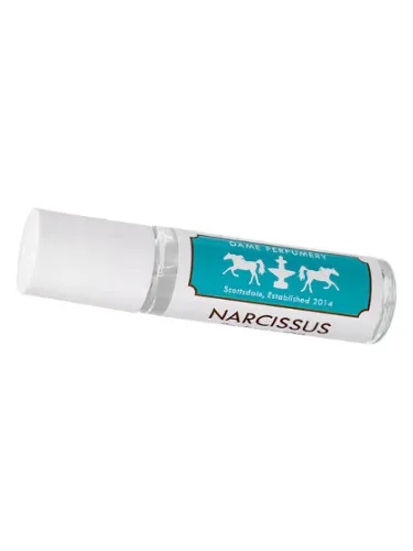 Imagen de Soliflore Narcissus