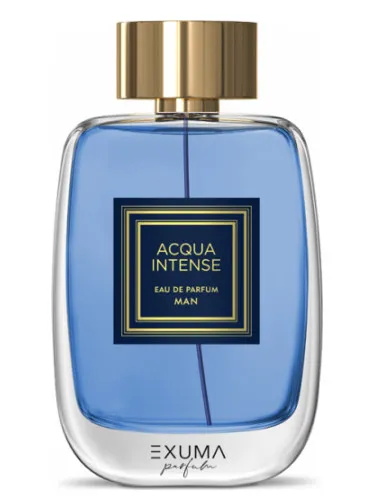 Imagen de Acqua Intense Man