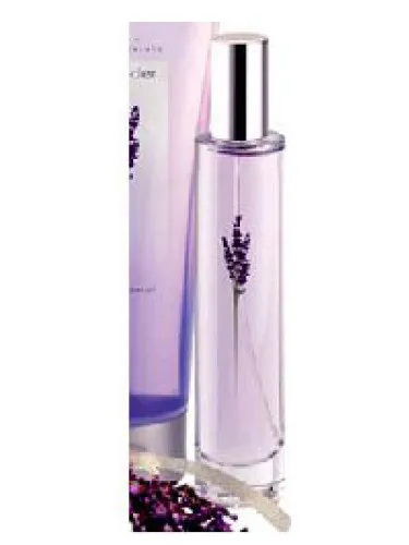 Imagen de Lavender