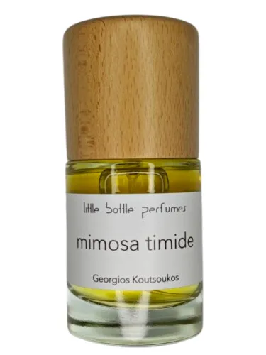 Imagen de Mimosa Timide