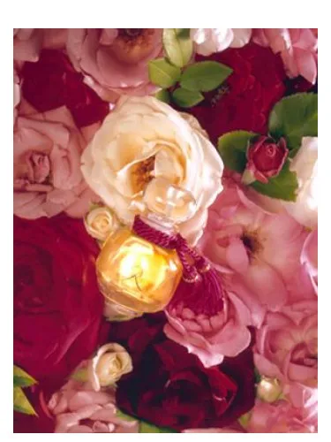 Perfume La Rose Legere de Les Parfums de Rosine