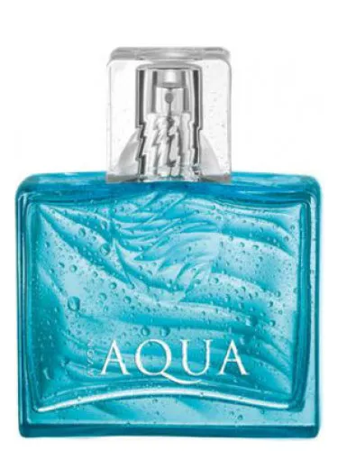 Perfume Aqua for Him de Avon
