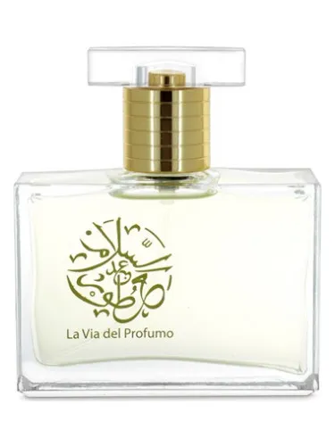 Imagen de Holy Water