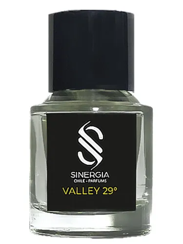 Imagen de Valley 29°