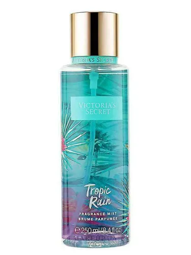 Imagen de Tropic Rain