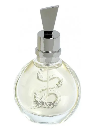 Imagen de Serpentine Silver