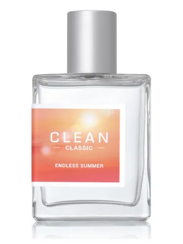 Imagen de Endless Summer