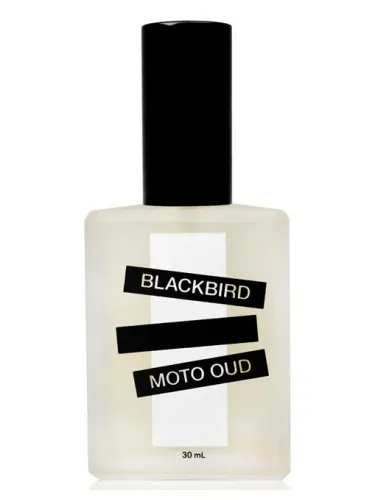 Imagen de Moto Oud