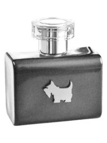 Imagen de Terrier Grey