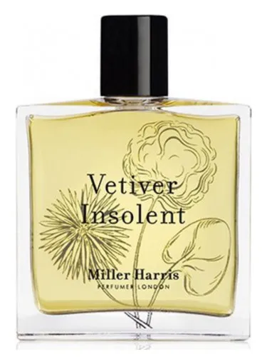 Imagen de Vetiver Insolent