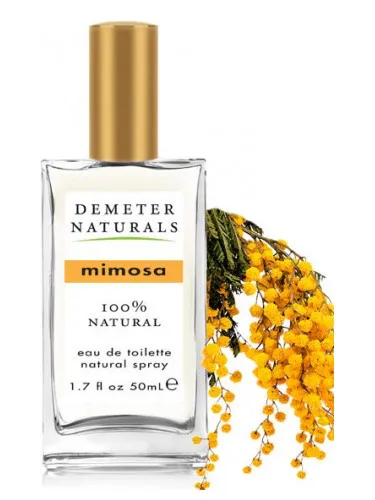 Imagen de Mimosa
