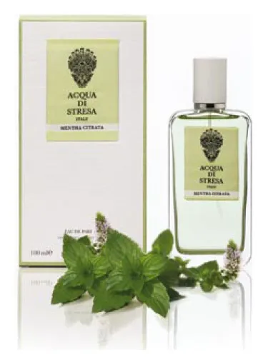 Perfume Mentha Citrata de Acqua di Stresa