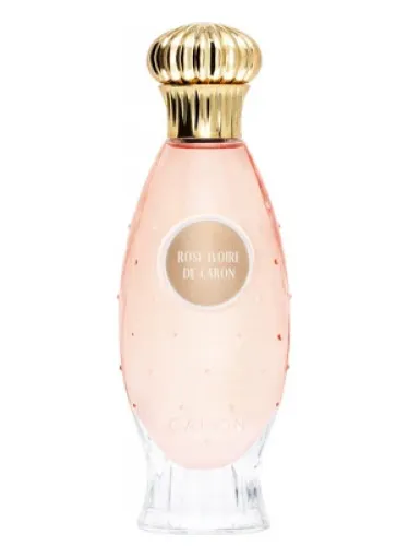 Imagen de Rose Ivoire