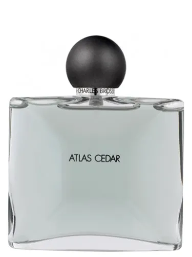 Imagen de Collection Homme/Atlas Cedar