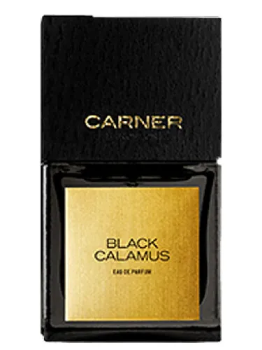 Imagen de Black Calamus