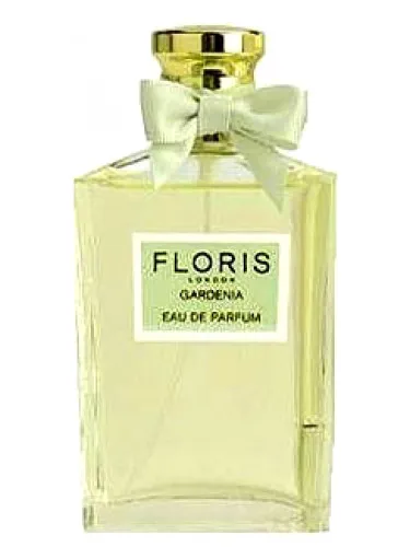 Imagen de Gardenia